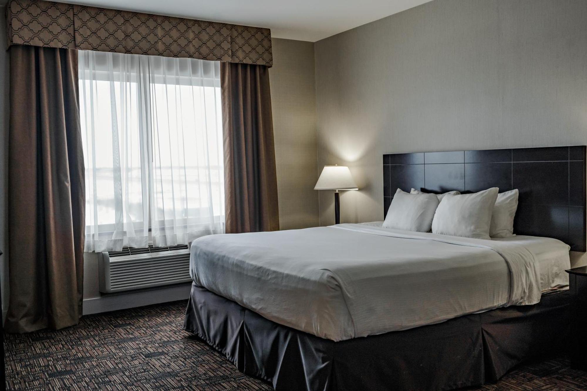 לדוק Radisson Hotel Edmonton Airport מראה חיצוני תמונה
