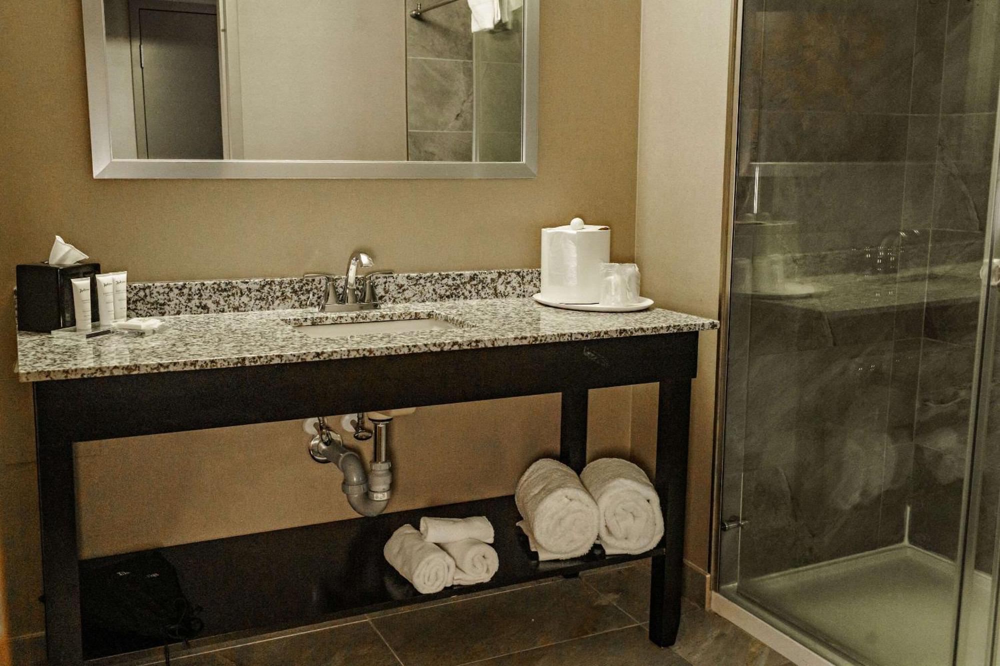 לדוק Radisson Hotel Edmonton Airport מראה חיצוני תמונה