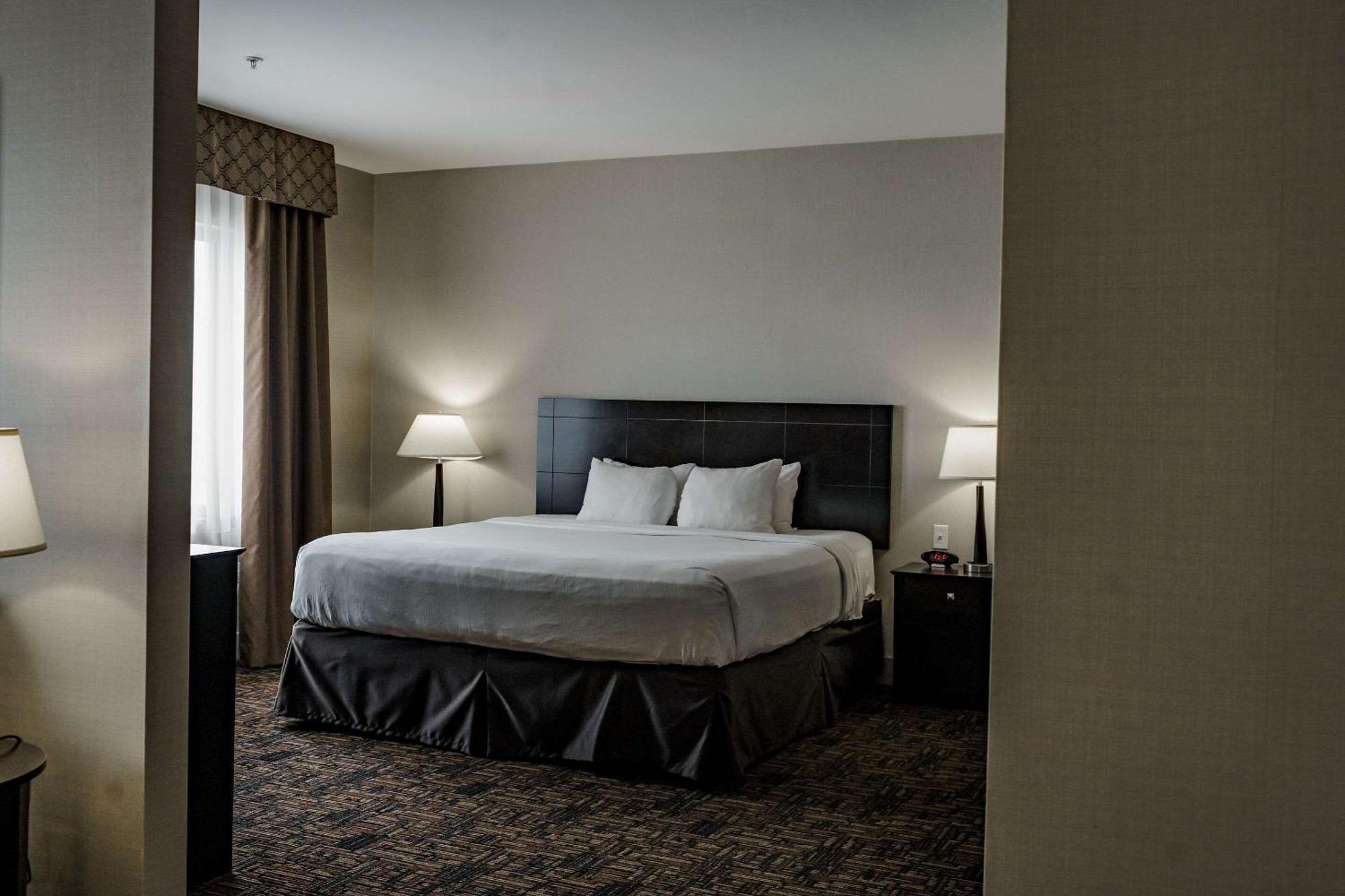 לדוק Radisson Hotel Edmonton Airport מראה חיצוני תמונה